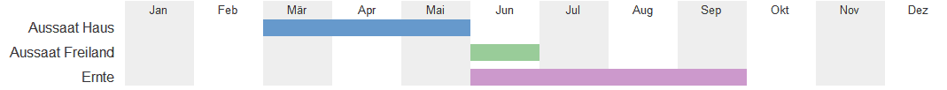 Tanja, Freilandgurke, Gurke, bio,samen,saatgut,biosamen,biosaatgut