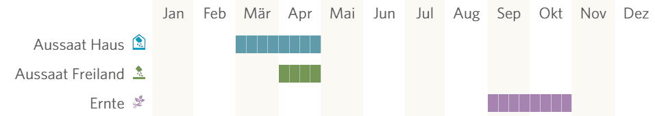 Kalibos,Rotkohl,bio,samen,saatgut