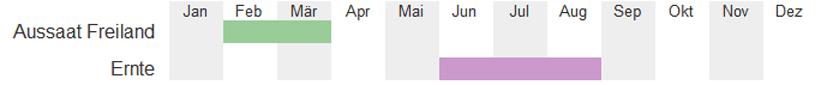 Eleonora, dicke bohne, puffbohne, saubohne, bohne , bio samen, saatgut , kaufen, sativa, biosamen